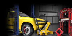 Thương hiệu Torin Bigred