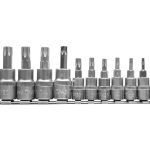 Bộ tuýp mũi hoa thị 1/4" 3/8" 12 chi tiết T8-T55 Yato YT-04331 - Ba Lan