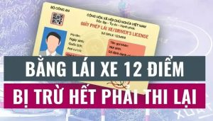 Luật Giao Thông Mới 2025: Quy Định Trừ Điểm Và Cách Phục Hồi GPLX