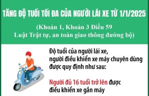 Quy Định Mới Về GPLX 2025: Hạng Bằng, Thời Hạn, Độ Tuổi Tại Việt Nam.