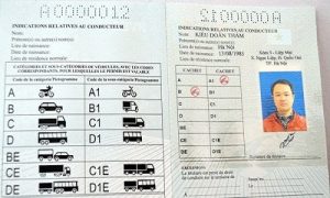 So Sánh Bằng Lái Xe Hạng B Và C1: Khác Biệt Tải Trọng, Chỗ Ngồi