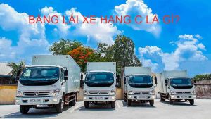 Bằng Lái Xe B Và C1: Ảnh Hưởng Đến Công Việc Lái Xe Chuyên Nghiệp
