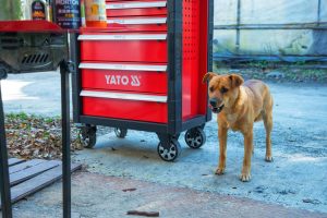 Tủ Đồ Nghề 5 Ngăn Hay 7 Ngăn: Lựa Chọn Tối Ưu Cho Xưởng Của Bạn