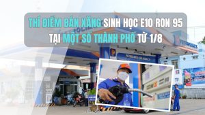 Xăng E10 Hay RON 95: Lựa Chọn Nào Tối Ưu Cho Động Cơ Và Môi Trường
