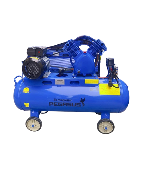 Máy Nén Khí Dây Đai TM-V-0.17/8-70L 2HP Pegasus