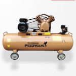 Máy Nén Khí Dây Đai TM-V-0.25/8-120L 3HP Pegasus