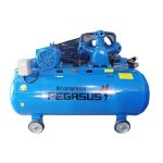 Máy Nén Khí Dây Đai TM-W-1.0/8-500L 10HP Pegasus